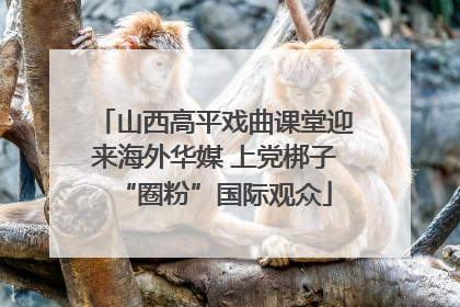 山西高平戏曲课堂迎来海外华媒 上党梆子“圈粉”国际观众