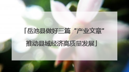 岳池县做好三篇“产业文章” 推动县域经济高质量发展