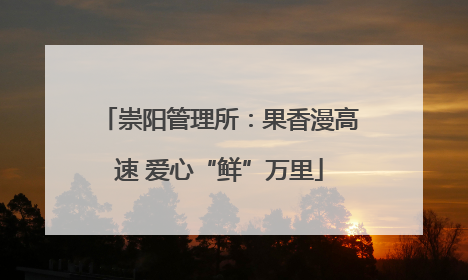 崇阳管理所：果香漫高速 爱心“鲜”万里