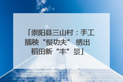 崇阳县三山村：手工插秧“慢功夫” 绣出稻田新“丰”景