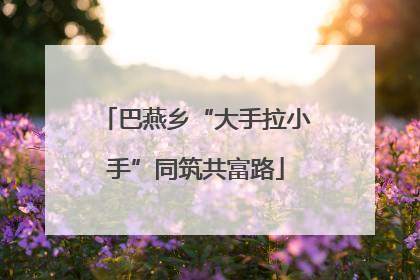 巴燕乡“大手拉小手”同筑共富路