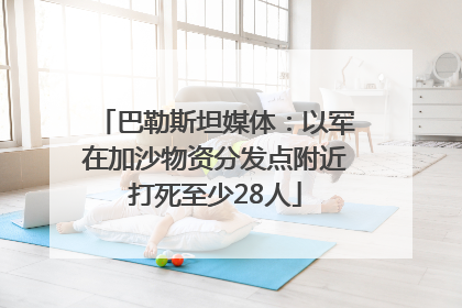 巴勒斯坦媒体：以军在加沙物资分发点附近打死至少28人