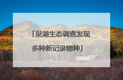 巢湖生态调查发现多种新记录物种