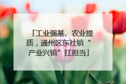 工业强基、农业提质，通州区东社镇“产业兴镇”扛担当