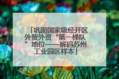 巩固国家级经开区外贸外资“第一梯队”地位——解码苏州工业园区样本
