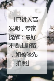 已进入高发期，专家提醒：最好不要走野路，如被咬先拍照