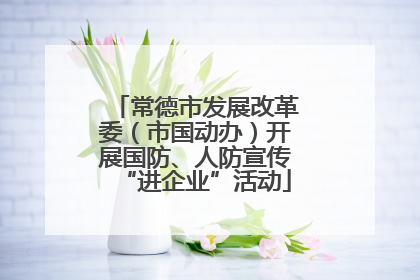 常德市发展改革委（市国动办）开展国防、人防宣传“进企业”活动