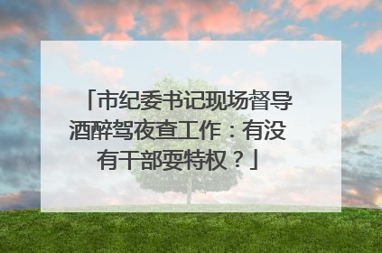 市纪委书记现场督导酒醉驾夜查工作：有没有干部耍特权？