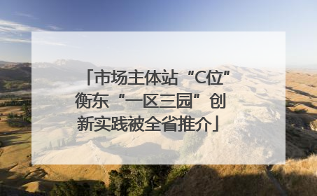 市场主体站“C位” 衡东“一区三园”创新实践被全省推介