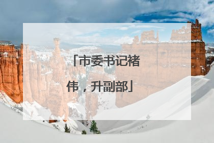 市委书记褚伟，升副部