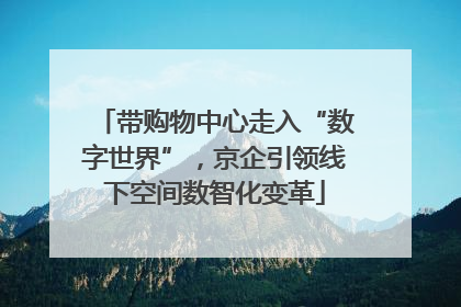 带购物中心走入“数字世界”，京企引领线下空间数智化变革
