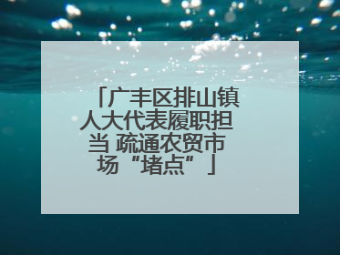 广丰区排山镇人大代表履职担当 疏通农贸市场“堵点”