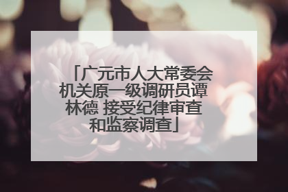 广元市人大常委会机关原一级调研员谭林德 接受纪律审查和监察调查