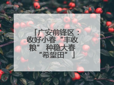 广安前锋区：收好小春“丰收粮” 种稳大春“希望田”