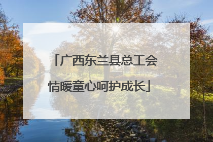 广西东兰县总工会情暖童心呵护成长