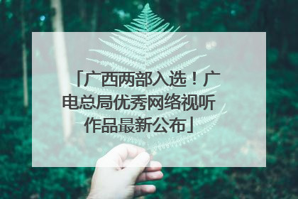广西两部入选！广电总局优秀网络视听作品最新公布