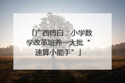 广西博白：小学数学改革培养一大批“速算小能手”