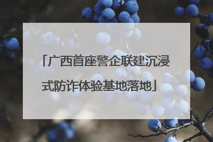 广西首座警企联建沉浸式防诈体验基地落地
