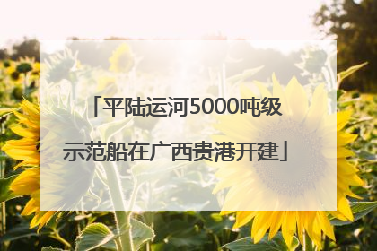 平陆运河5000吨级示范船在广西贵港开建