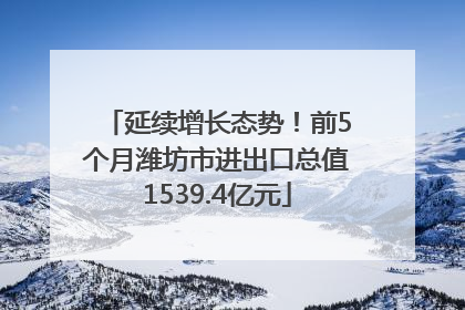 延续增长态势！前5个月潍坊市进出口总值1539.4亿元