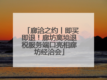 廊洽之约丨即买即退！廊坊离境退税服务端口亮相廊坊经洽会