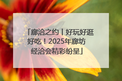 廊洽之约丨好玩好逛好吃！2025年廊坊经洽会精彩纷呈