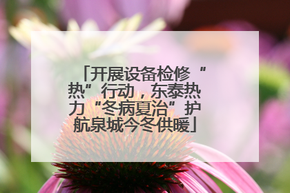 开展设备检修“热”行动，东泰热力“冬病夏治”护航泉城今冬供暖