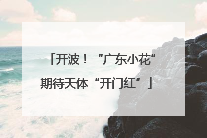 开波！“广东小花”期待天体“开门红”