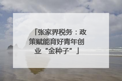 张家界税务：政策赋能育好青年创业“金种子”