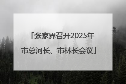 张家界召开2025年市总河长、市林长会议