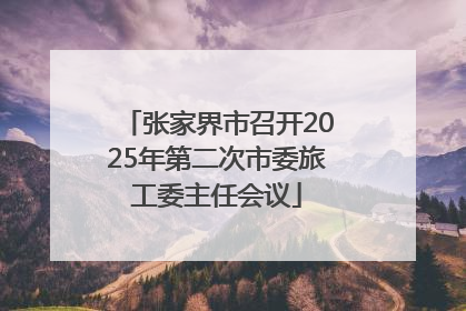 张家界市召开2025年第二次市委旅工委主任会议