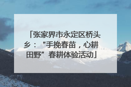 张家界市永定区桥头乡：“手挽春苗，心耕田野”春耕体验活动