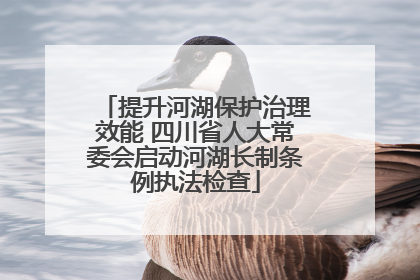 提升河湖保护治理效能 四川省人大常委会启动河湖长制条例执法检查