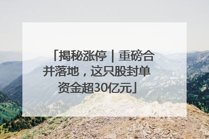 揭秘涨停｜重磅合并落地，这只股封单资金超30亿元