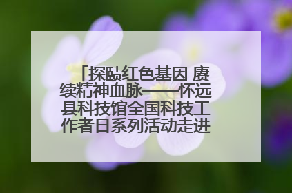 探赜红色基因 赓续精神血脉——怀远县科技馆全国科技工作者日系列活动走进怀远县实验中学