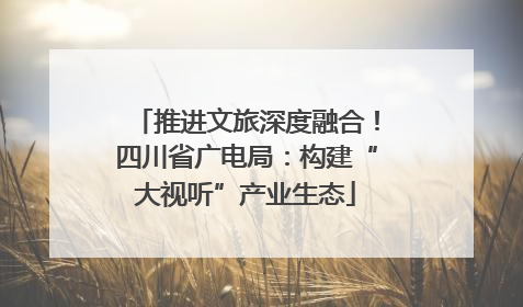 推进文旅深度融合！四川省广电局：构建“大视听”产业生态