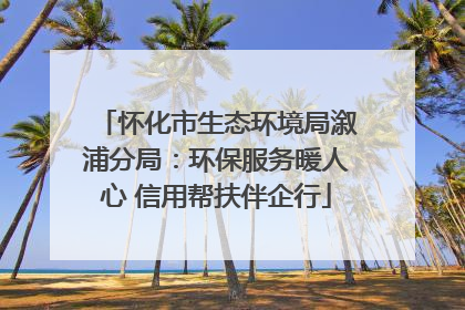 怀化市生态环境局溆浦分局：环保服务暖人心 信用帮扶伴企行