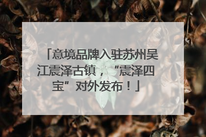 意境品牌入驻苏州吴江震泽古镇，“震泽四宝”对外发布！
