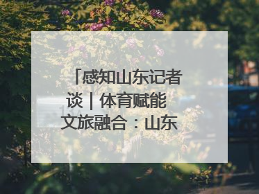 感知山东记者谈｜体育赋能 文旅融合：山东打造体商文旅融合发展新格局