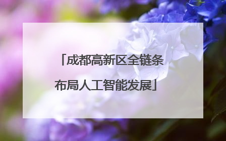 成都高新区全链条布局人工智能发展