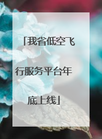 我省低空飞行服务平台年底上线