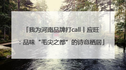 我为河南品牌打call丨应旺：品味“毛尖之都”的诗意栖居