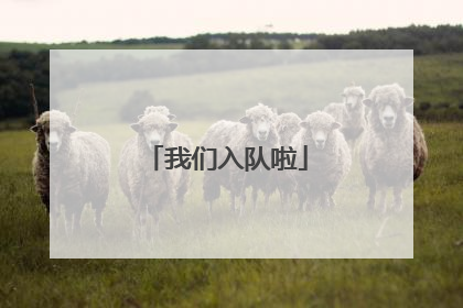 我们入队啦