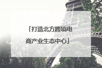打造北方跨境电商产业生态中心
