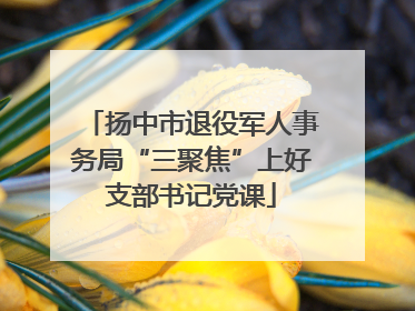 扬中市退役军人事务局“三聚焦”上好支部书记党课