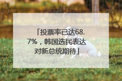 投票率已达68.7%，韩国选民表达对新总统期待