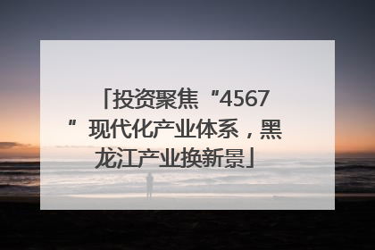 投资聚焦“4567”现代化产业体系，黑龙江产业换新景