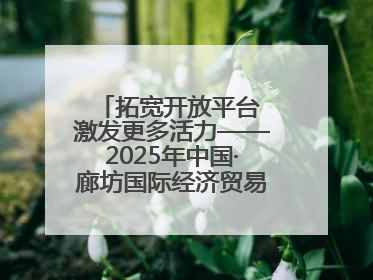 拓宽开放平台 激发更多活力——2025年中国·廊坊国际经济贸易洽谈会观察