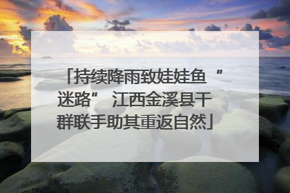 持续降雨致娃娃鱼“迷路” 江西金溪县干群联手助其重返自然