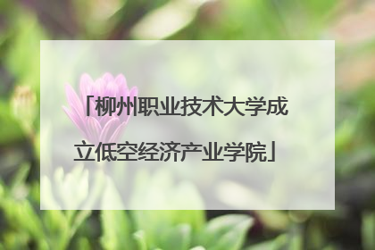 柳州职业技术大学成立低空经济产业学院
